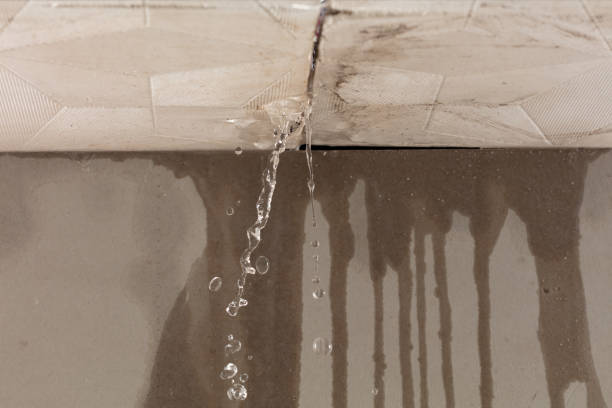 Professional Water Extraction technician working in Harvey, MI